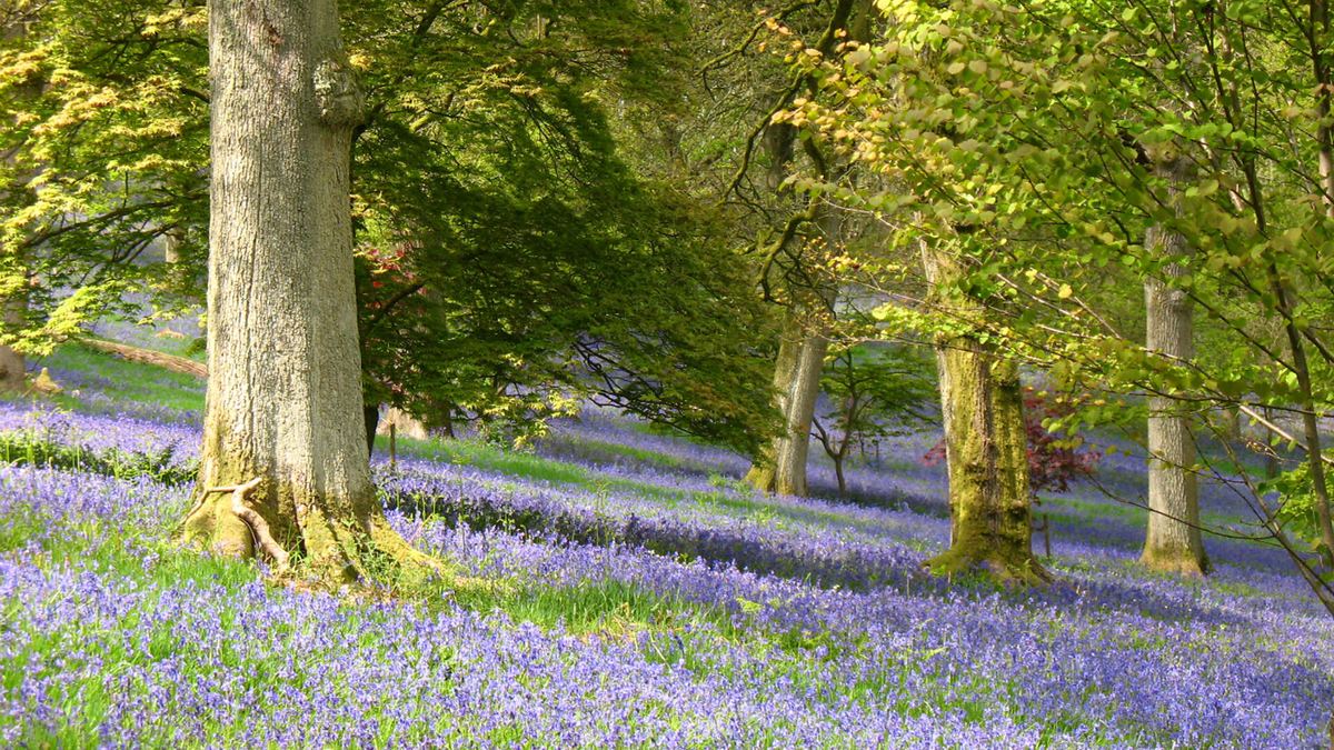 Spring Pest Prevention Checklist for Homeowners